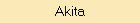 Akita