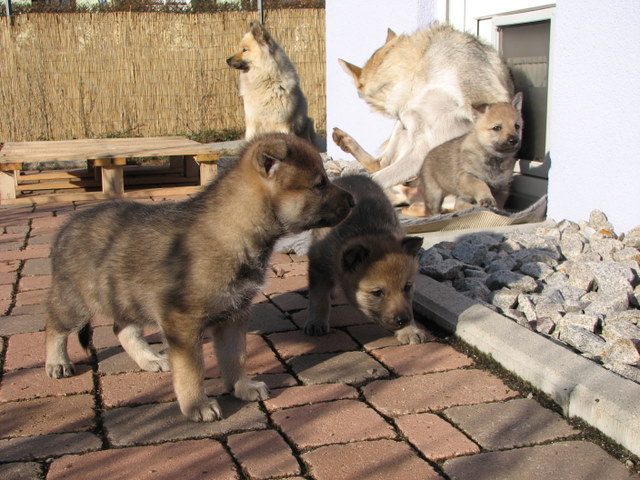 Das erste Mal im Garten