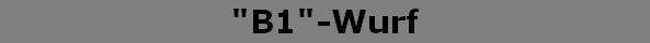 "B1"-Wurf